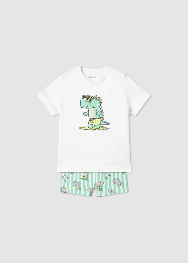 Conj. bañador camiseta - Imagen 2
