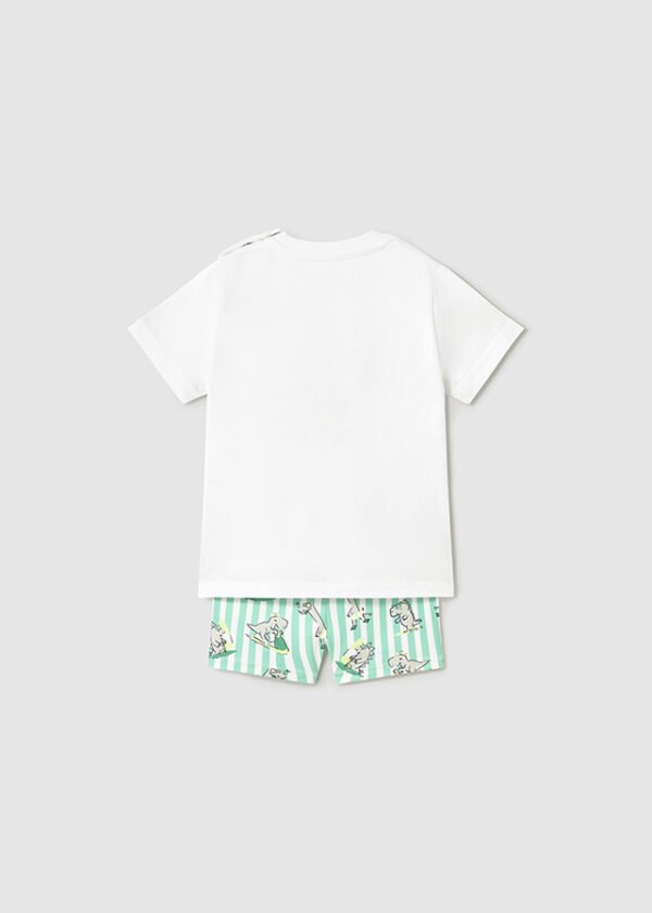 Conj. bañador camiseta - Imagen 3