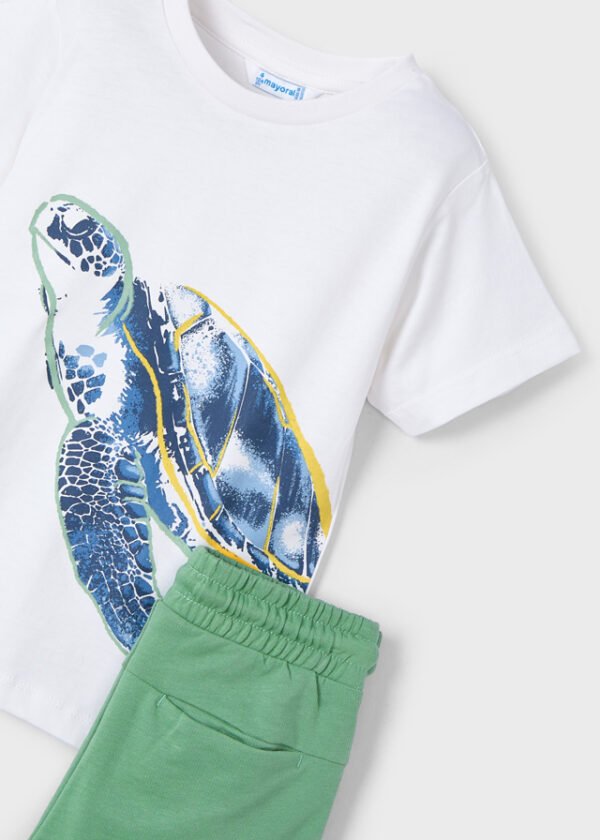 Conj. punto "turtle" - Imagen 4